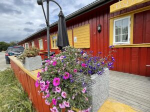 Røros Camping